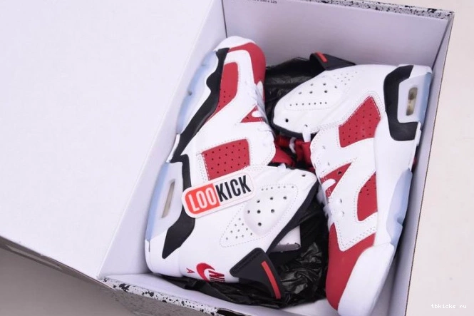 Reps TB JORDAN AIR 6 2021 CT8529-106 RETRO 'CARMINE' 0717